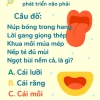 câu đố 9