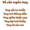 vè các ngón tay