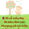  Vè về mùa Hạ 