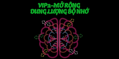 VIP 2: Mở rộng dung lượng não bộ & những yếu tố nền tảng giúp con có trí nhớ vượt trội