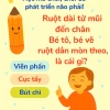  câu đố 8